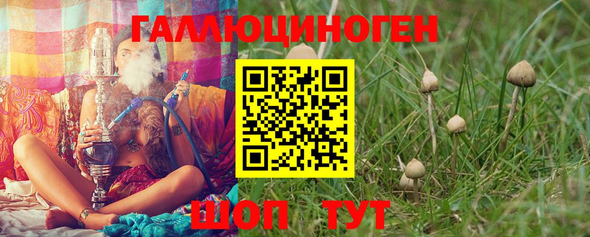 Галлюциногенные грибы мицелий Рославль