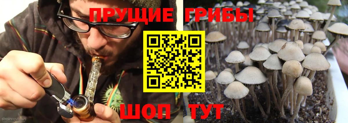 магазин продажи наркотиков  Галлюциногенные грибы MAGIC MUSHROOMS  Вход с VPN  Рославль  Галлюциногенные грибы мухоморы 